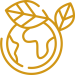 Ecology clubs
